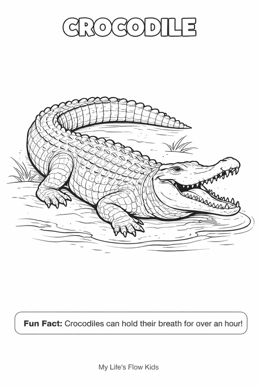 Color With Tee: Safari Animals Coloring Book